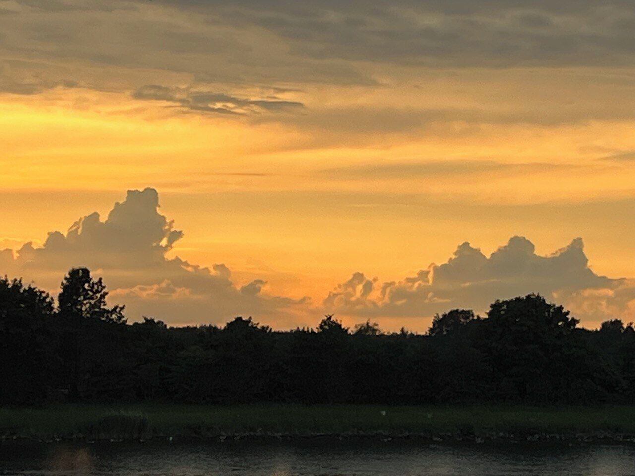 Un atardecer sobre un área boscosa, con una masa de agua al frente.
