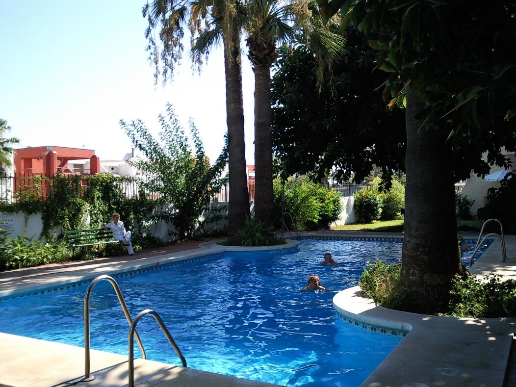 A swimming pool surrounded by palm trees and greenery, with a person sitting on a bench and another person swimming.