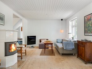 Fernseher, Kamin