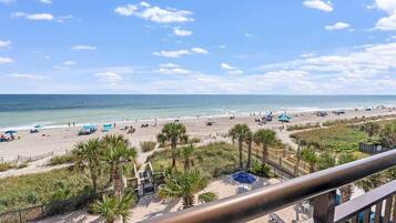 A beach with palm trees, umbrellas, and a clear sky.