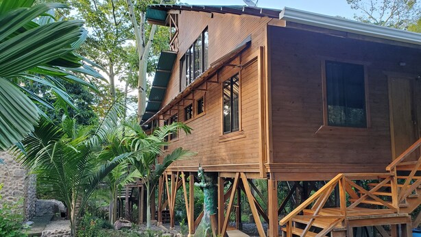 A wooden house with a balcony, surrounded by tropical plants and a stone pathway. - Treehouse in the Canopy close to beach - large garden with trails - Pavones wave (Pavones)