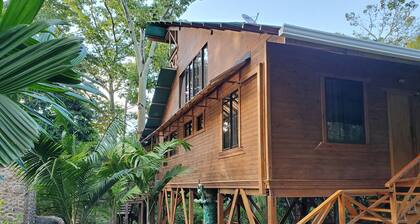 Treehouse in the Canopy close to beach - large garden with trails - Pavones wave