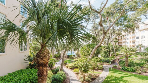 Property grounds - 2114 Windsor- Oceanfront-Just Steps from the Beach! Seasonally Heated Pool! (Hilton Head Island)