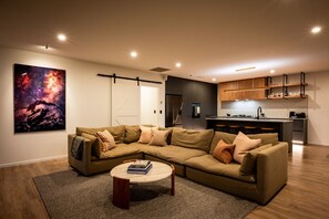 Smart TV, fireplace, books, stereo