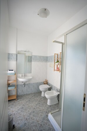 Regadera, secadora de cabello, bidet, toallas 