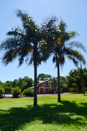 Property grounds - Beautiful cabins at Iguazu Falls with a pool (Puerto Iguazú)