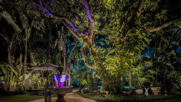 A garden with a central fountain, surrounded by lush greenery and trees. - NEW! Historic Estate-Heated Pool - Two Guest Houses - Sleep16 - NEAR EVERYTHING (West Palm Beach)