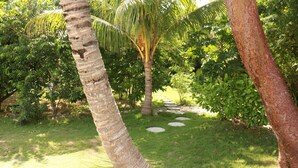 Een tuin met palmbomen, een stenen pad en weelderig groen.