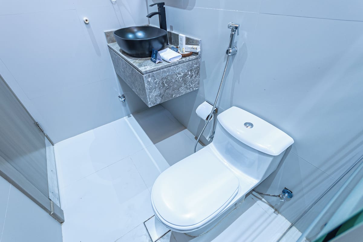 Towels, soap, shampoo, toilet paper