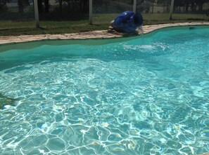 Pool - Holistic Retreat in the foothills of French Pyrenees (Bonnac)