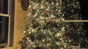 A tall, decorated Christmas tree with lights and ornaments, placed in a room with wooden walls and a window. - Charming farmhouse in delightful Brantley with AC (Brantley)