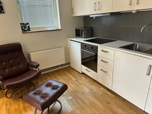 Studio | Private kitchen | Fridge, microwave, oven, stovetop
