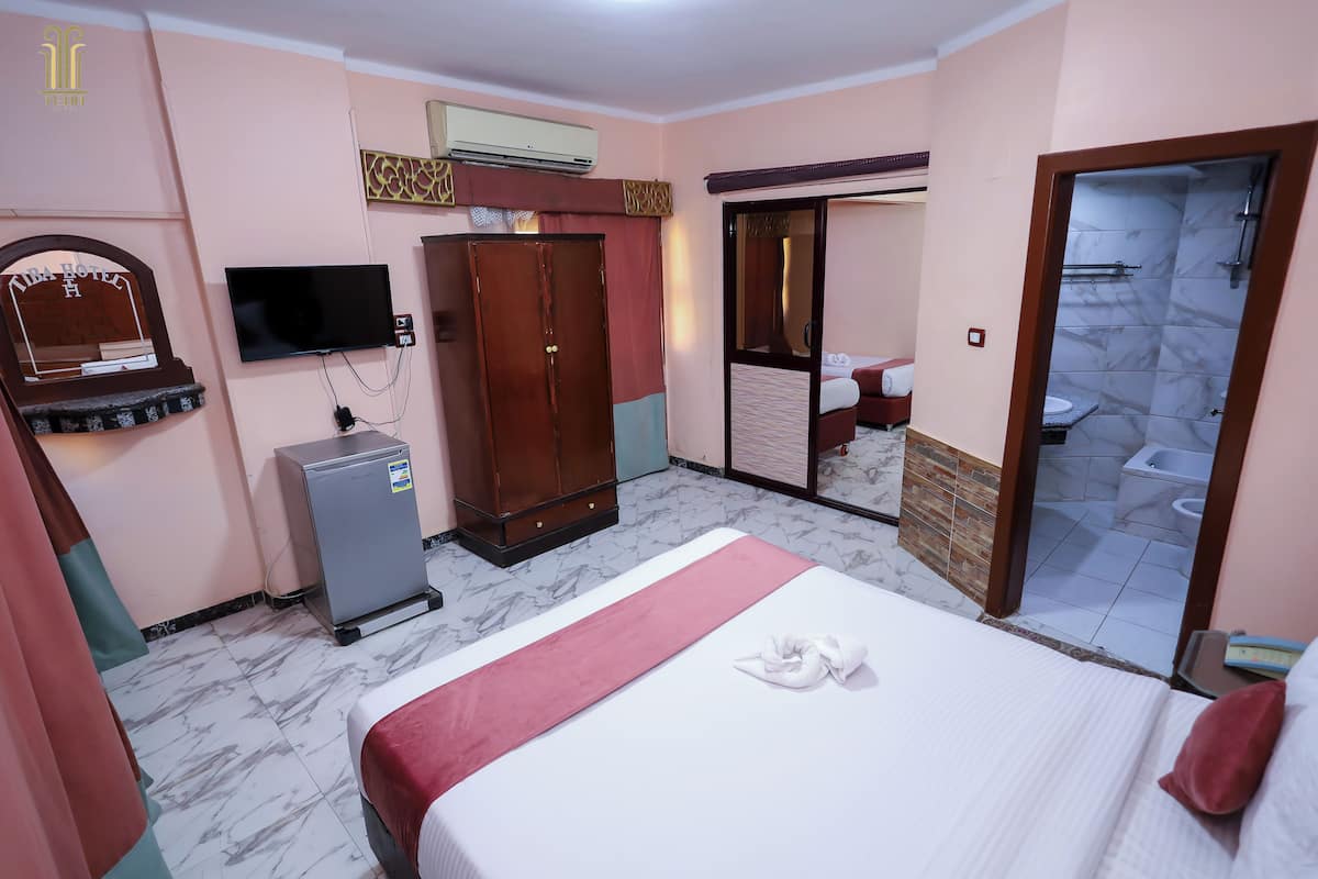 A hotel room with a bed, a wardrobe, a television, a mini-fridge, and a bathroom with a shower and toilet.