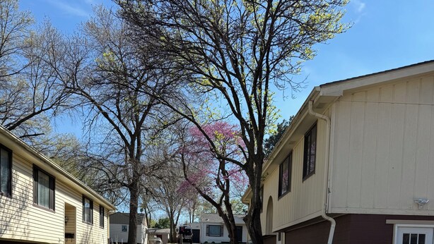 A residential street with houses, a sidewalk, and a row of flowering plants. - Cozy Private Basement in Mid-Town Lincoln (Lincoln)