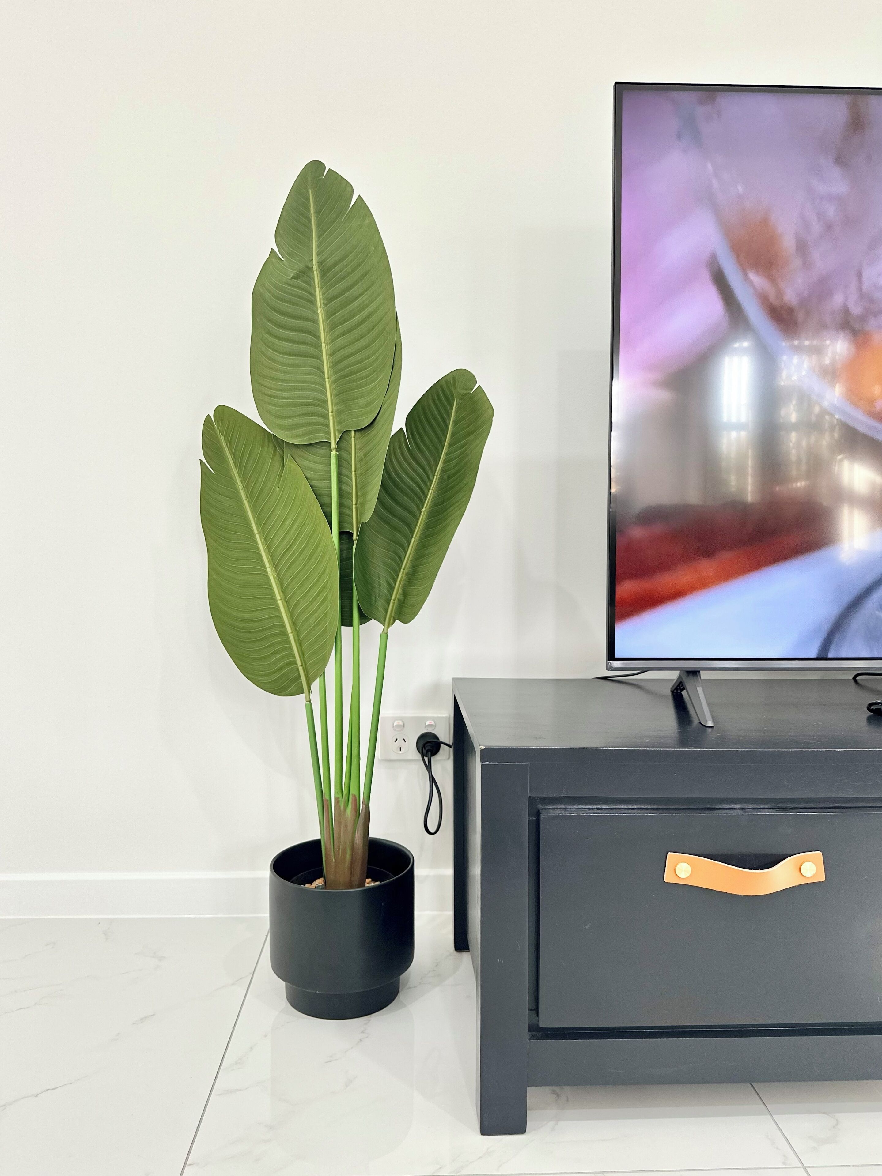 A modern living room with a large potted plant, a flat-screen TV, and a dark-colored cabinet with a wooden handle.