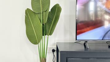 A modern living room with a large potted plant, a flat-screen TV, and a dark-colored cabinet with a wooden handle.