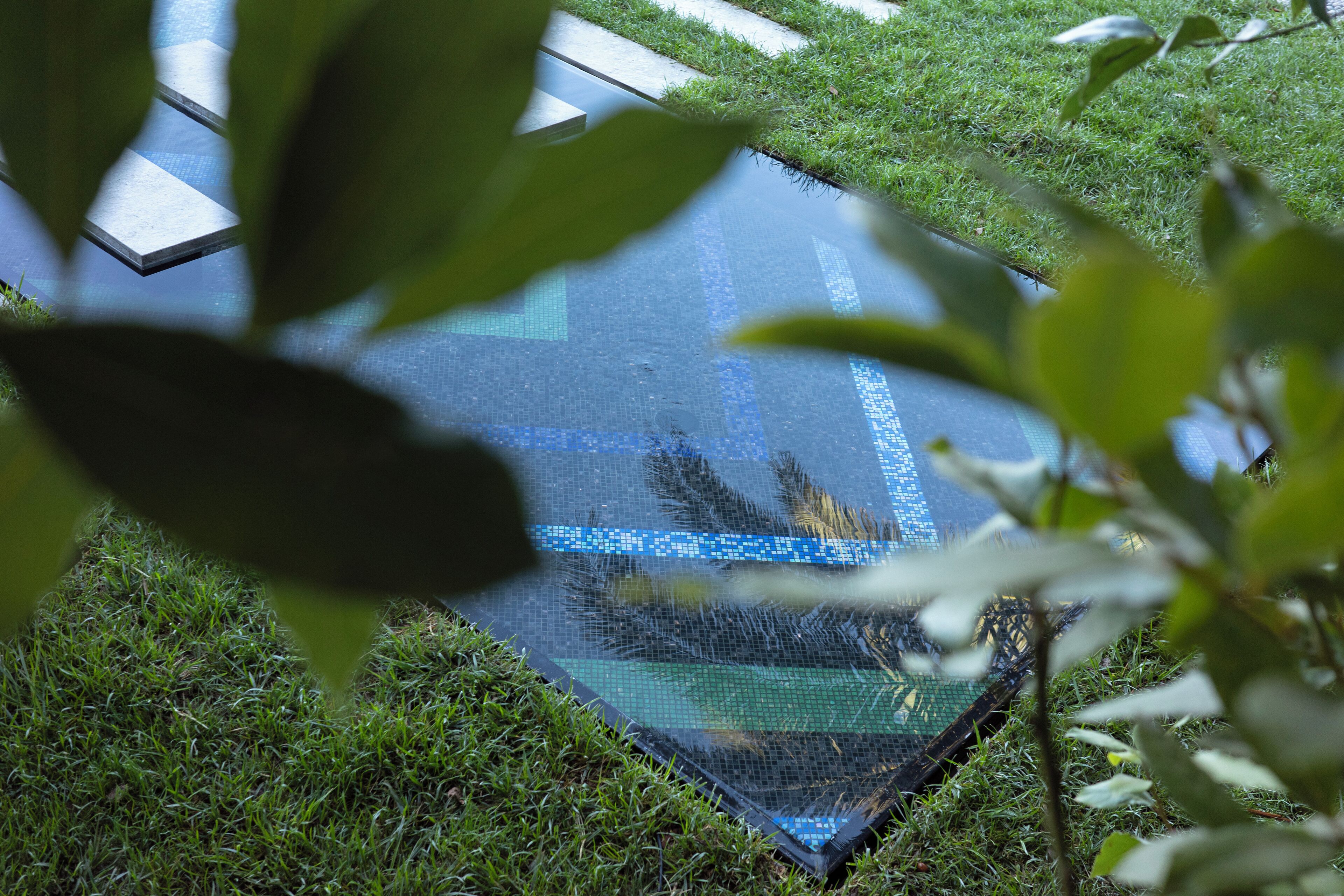 Ein Pool mit Glasboden, umgeben von üppiger Vegetation.