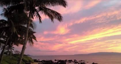 Spacious, Great Location. Close to Beaches!
- 1 bedroom condo - Pool, WiFi, AC!