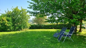 A grassy outdoor area with a single lounge chair under a tree.