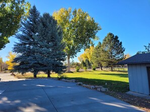 Property grounds - New Listing-Beautiful 3 bedroom home in SAFE, QUIET Spring Creek neighborhood. (Montrose)