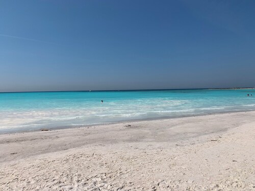 A beautiful Tuscan villa; a large private pool, spacious grounds & cinema room.