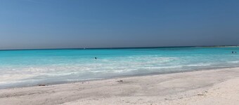 A beautiful Tuscan villa; a large private pool, spacious grounds & cinema room.