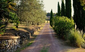 Jardines del alojamiento