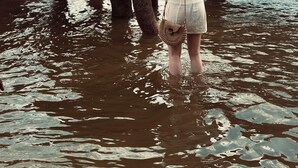 Una persona in acqua con degli elefanti.