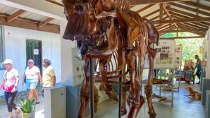 Una scultura di cavallo in legno in un'area esterna coperta, con pavimento in cemento e tetto in metallo.