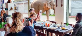 Elepath Lodge - Pinnawala