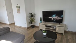 A modern living room with a flat-screen TV, a grey sofa, a coffee table, and a potted plant. - Destro village  (Lindoso)