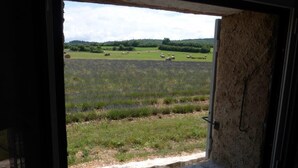 Vista a través de una ventana de un paisaje rural con campos y árboles dispersos.