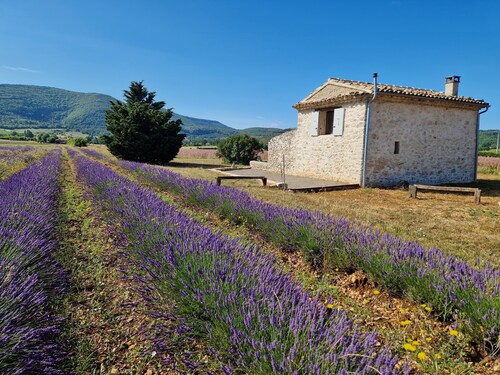Le Grangeon des Hermas an exceptional, peaceful spot on the Sault plain