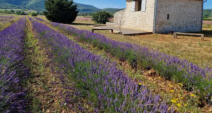 Le Grangeon des Hermas un lieu exceptionnel et paisible dans la plaine de Sault