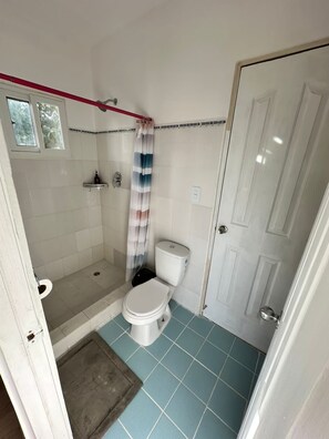 Serviettes fournies, savon, shampooing, papier de toilette