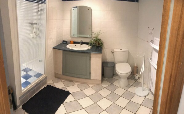 Shower, hair dryer, toilet paper