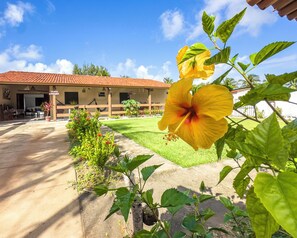 Jardines del alojamiento