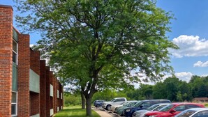 Un parking rempli de voitures, un bâtiment en briques et un arbre.
