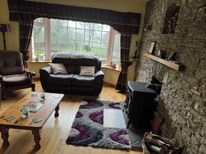 Smart TV, fireplace, DVD player, books