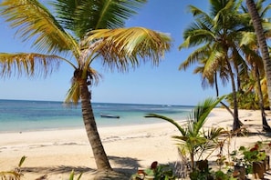 Perto da praia