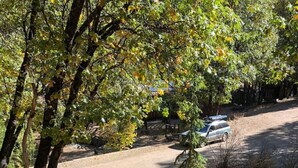 Un espace de stationnement dont la surface est recouverte de gravier, entouré d’arbres et d’arbustes.