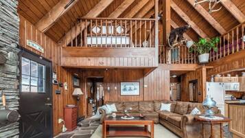 Smart TV, fireplace, books, printers