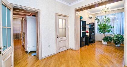 Central luxuries spacious appartment in Nizami street Torgovi