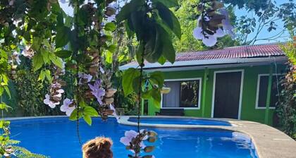 Casa Mandala, un oasis fresco en la calurosa selva de Tortuguero con wifi y aire