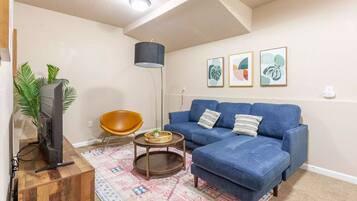 Smart TV, fireplace, books