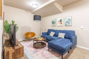 Smart TV, fireplace, books