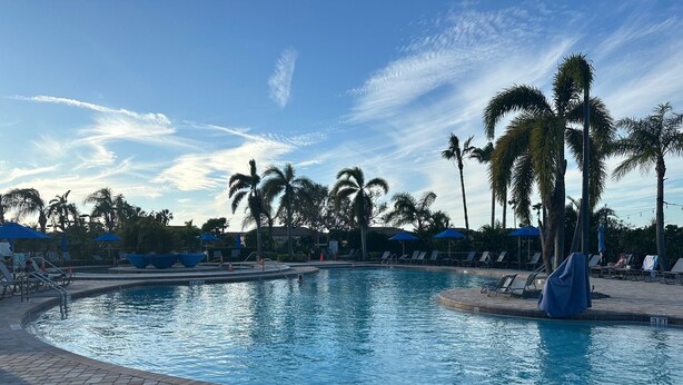 A swimming pool with lounge chairs and umbrellas, surrounded by palm trees.