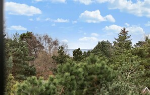 Blick von der Unterkunft