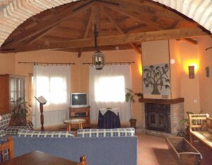 Televisión, chimenea y reproductor de DVD 