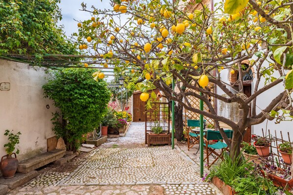 Outdoor dining - Holiday Home 'Il Borgo - Casa Ottocentesca' with Mountain View, Private Terrace and Wi-Fi (Baunei)